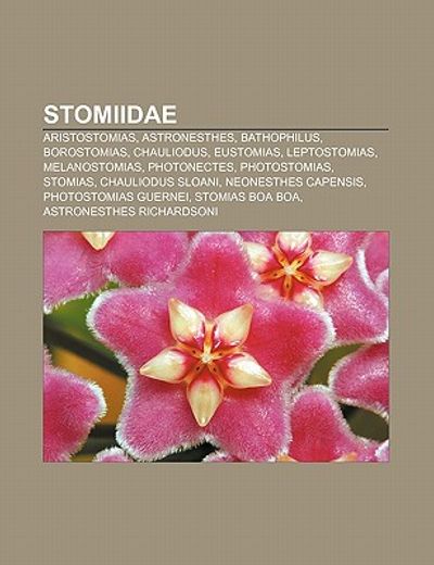 Libro stomiidae: aristostomias, astronesthes, bathophilus, borostomias ...