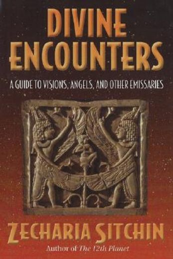 divine encounters: a guide to visions, angels, and other emissaries