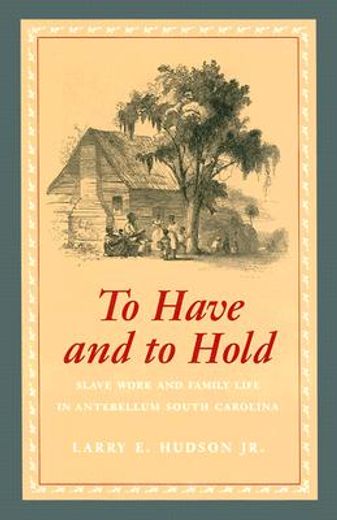 to have and to hold,slave work and family life in antebellum south carolina