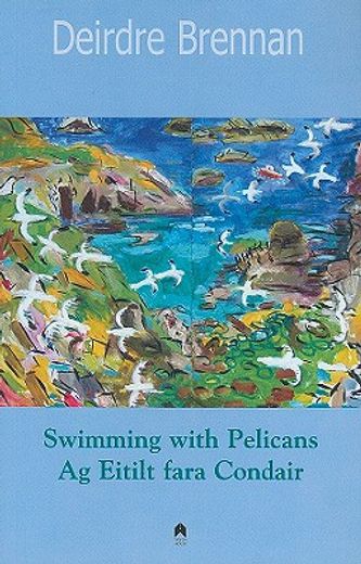 swimming with pelicans/ ag eitilt fara condair