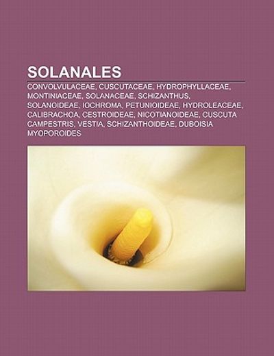 solanales: convolvulaceae, cuscutaceae, hydrophyllaceae, montiniaceae, solanaceae, schizanthus, solanoideae, iochroma, petunioide