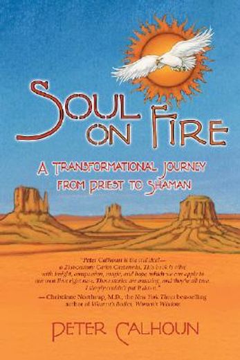 soul on fire,a transformational journey from priest to shaman (in English)