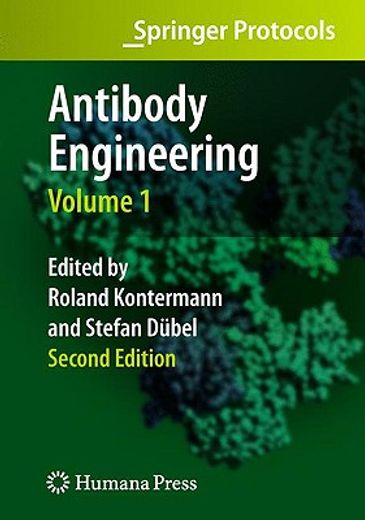 antibody engineering