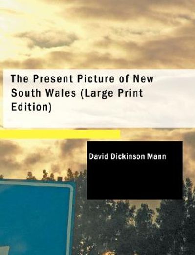 present picture of new south wales (large print edition)