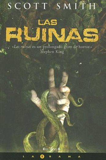 las ruinas/ the ruins