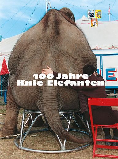 100 Jahre Knie Elefanten: Geschichte und Perspektiven der Elefantenhaltung in Wort und Bild (en Alemán)