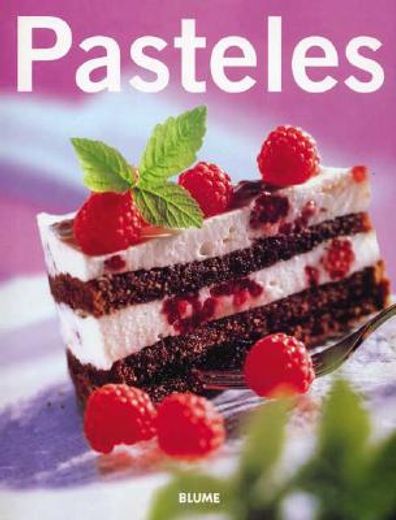pasteles / cakes