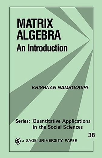 matrix algebra,an introduction