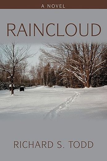 raincloud:a novel