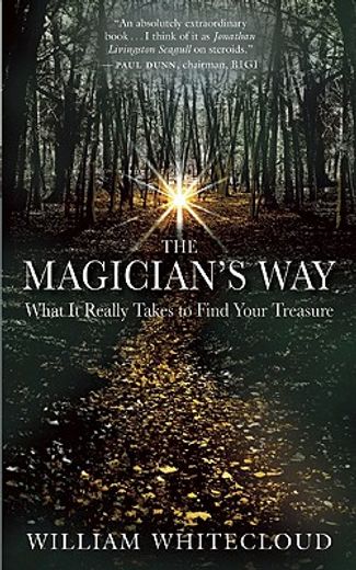the magician´s way,what it really takes to find your treasure