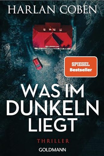 Was im Dunkeln Liegt: Wilde Ermittelt 2 - Thriller (in German)