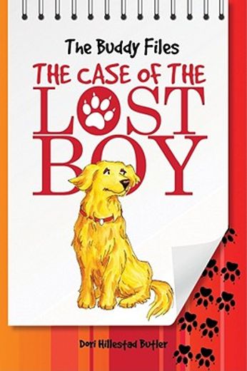 the case of the lost boy