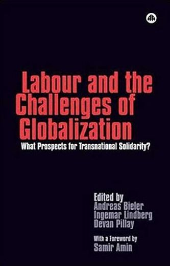 labour and the challenges of globalization,what prospects for transnational solidarity?