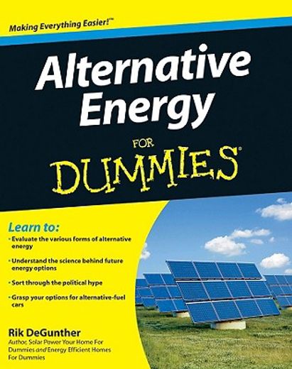 alternative energy for dummies (en Inglés)