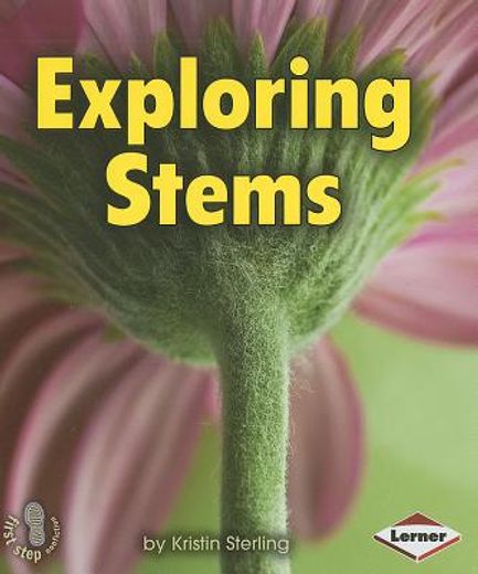 exploring stems