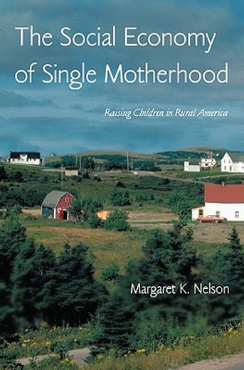 the social economy of single motherhood,raising children in rural america