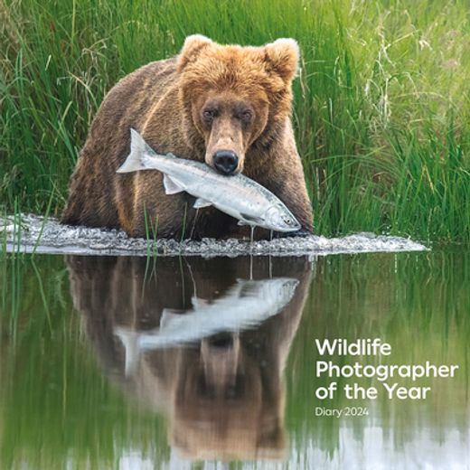 Wildlife Photographer of the Year Desk Diary 2024 (Wildlife Photographer of the Year Diaries) (en Inglés)