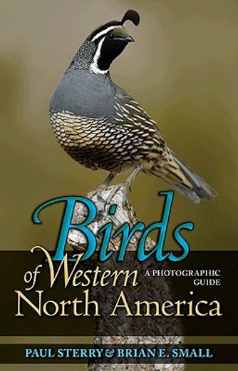 birds of western north america,a photographic guide (en Inglés)