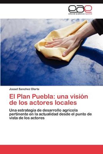 el plan puebla: una visi n de los actores locales
