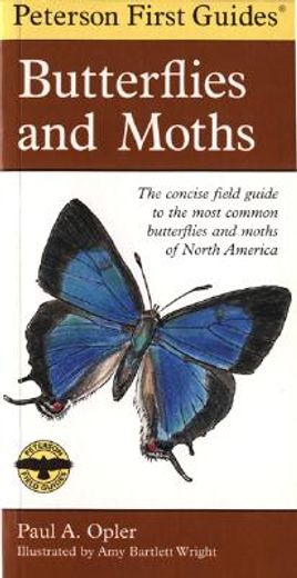 peterson first guide to butterflies and moths (en Inglés)