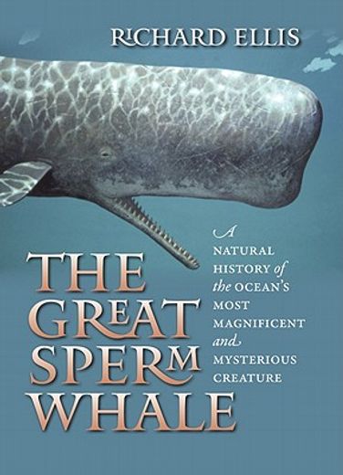 the great sperm whale,a natural history of the ocean`s most magnificent and mysterious creature