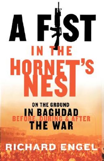 a fist in the hornet´s nest,on the ground in baghdad before, during and after the war