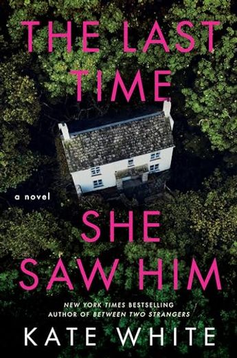 The Last Time she saw Him: A Novel 