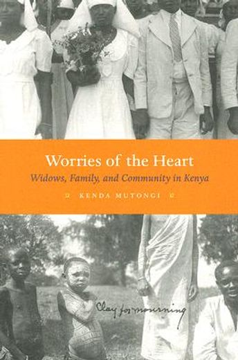 worries of the heart,widows, family, and community in kenya