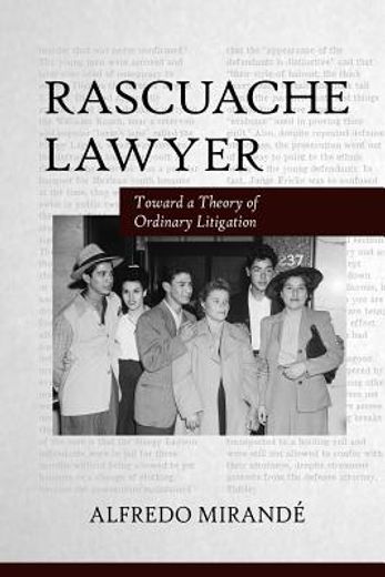 rascuache lawyer,toward a theory of ordinary litigation
