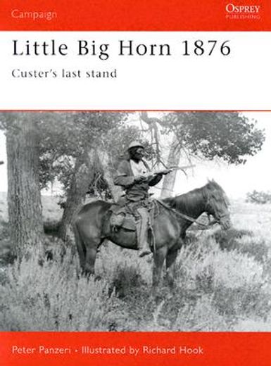 little big horn 1876,custer´s last stand