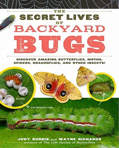 the secret lives of backyard bugs,discover amazing butterflies, moths, spiders, dragonflies, and other insects! (en Inglés)