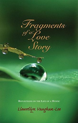 fragments of a love story,reflections on the life of a mystic