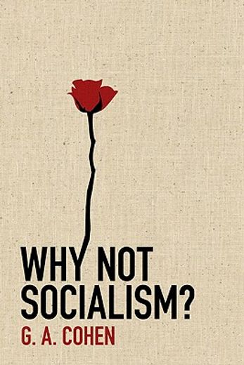 why not socialism? (in English)