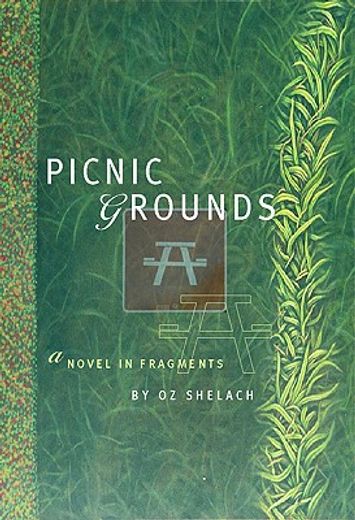 picnic grounds,a novel in fragments