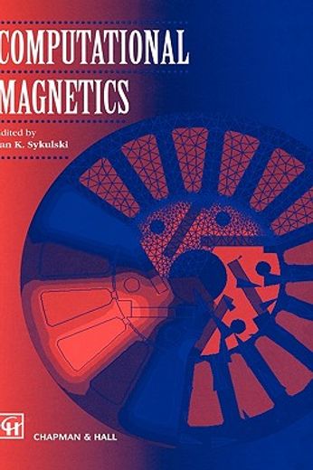 computational magnetics (in English)