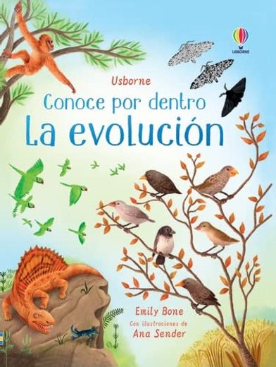 La Evolución (in Spanish)