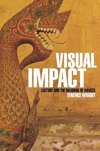 visual impact,culture and the meaning of images