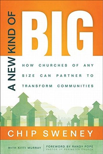 a new kind of big,how churches of any size can partner to transform communities
