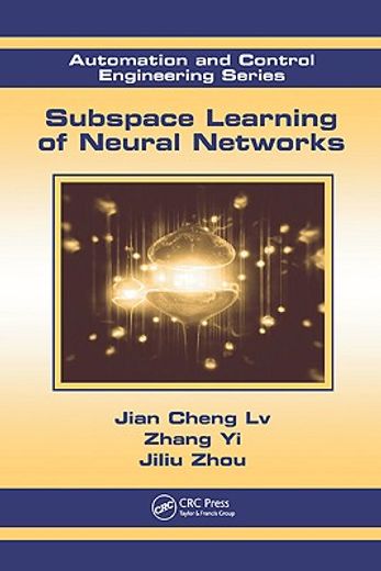 Subspace Learning of Neural Networks (en Inglés)