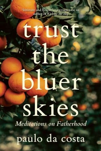 Trust the Bluer Skies: Meditations on Fatherhood (en Inglés)