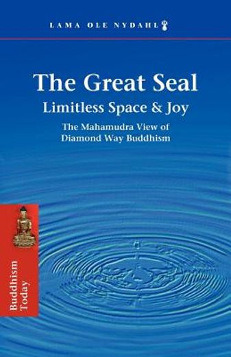 the great seal: limitless space & joy: the mahamudra view of diamond way buddhism