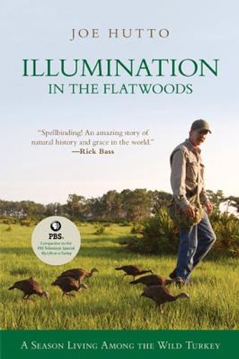 illumination in the flatwoods,a season with the wild turkey