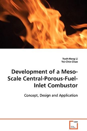 development of a meso-scale central-porous-fuel- inlet combustor