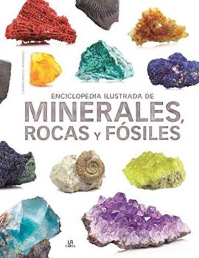 Enciclopedia Ilustrada Minerales, Rocas Y Fósiles (tapa dura)