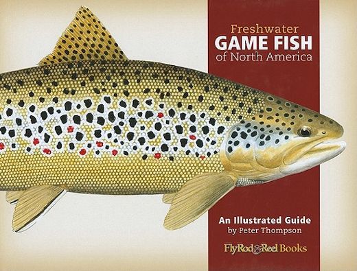 freshwater game fish of north america,an illustrated guide