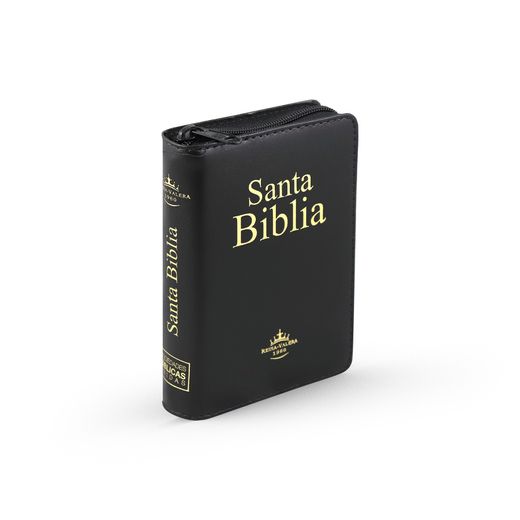 Santa Bíblia con Concordancia y Letra Grande / With Concordance & Large Print (Spanish Edition)