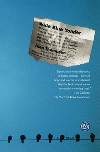 wide blue yonder,a novel (en Inglés)