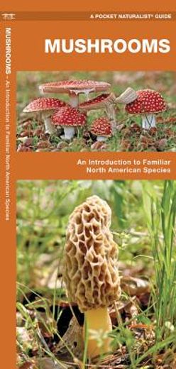 mushrooms,an introduction to familiar north american species