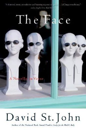 the face,a novella in verse