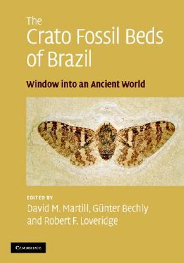the crato fossil beds of brazil,window into an ancient world